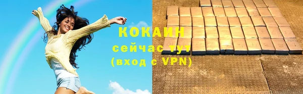 шишки Абаза