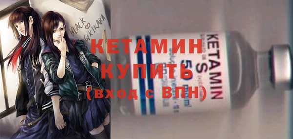 шишки Абаза