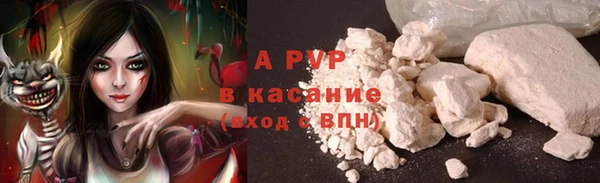 шишки Абаза