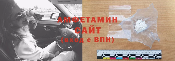 шишки Абаза