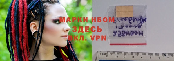 шишки Абаза