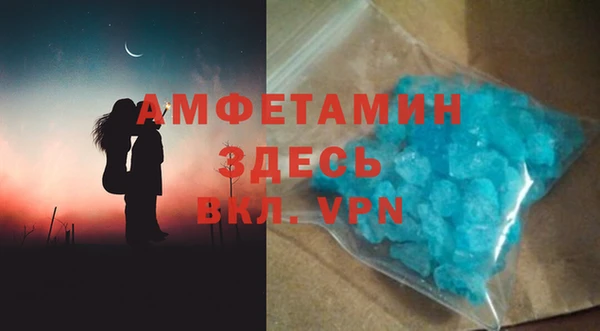 шишки Абаза