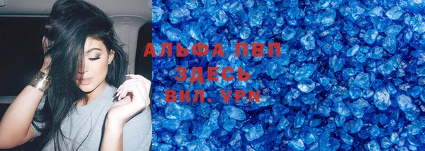шишки Абаза