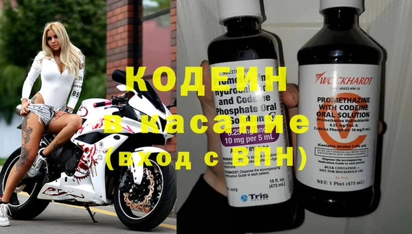 шишки Абаза