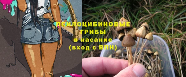 шишки Абаза