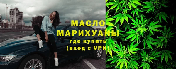 шишки Абаза