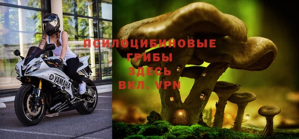 амфетамин Абинск