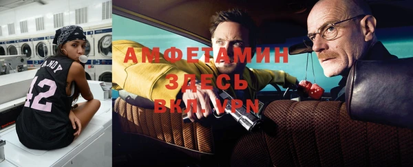 шишки Абаза